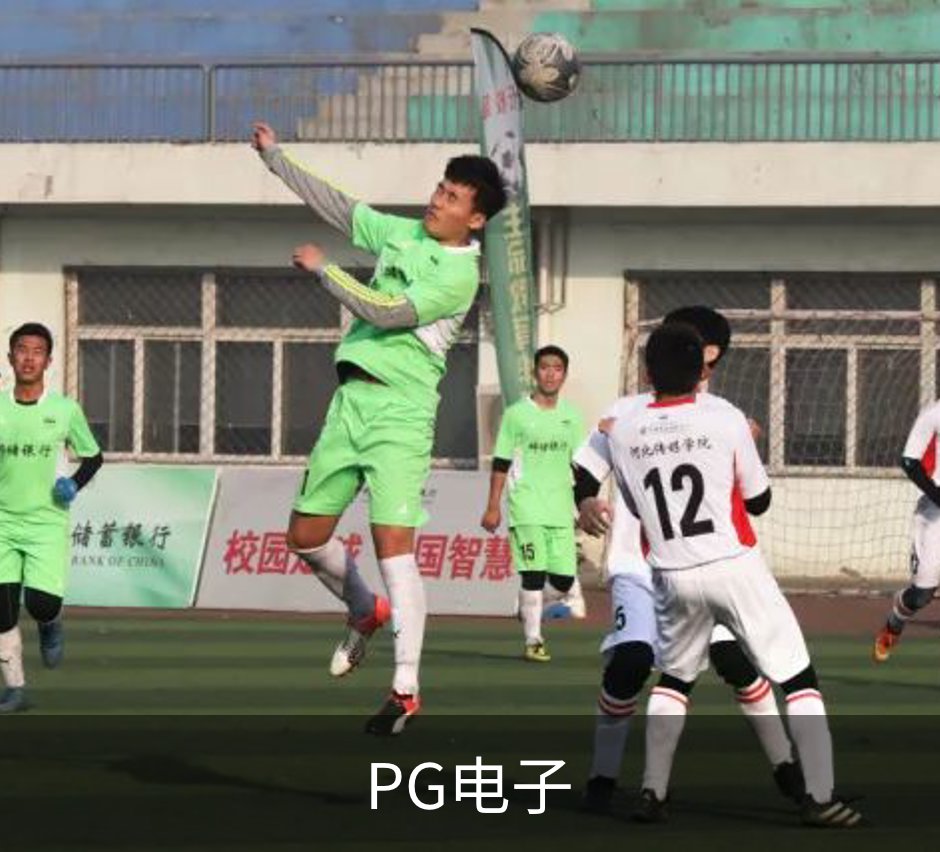 企业介绍
